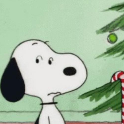 สมาชิกหมายเลข 1342259