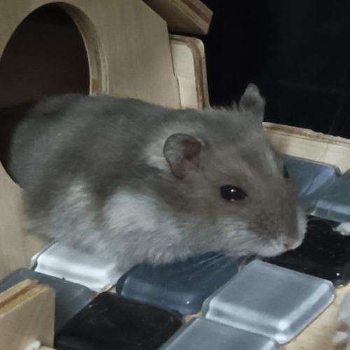 สมาชิกหมายเลข 7692458