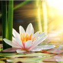 สมาชิกหมายเลข 3569915