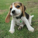 สมาชิกหมายเลข 3621992