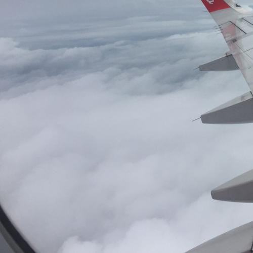 สมาชิกหมายเลข 4056618