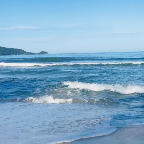 สมาชิกหมายเลข 4863598