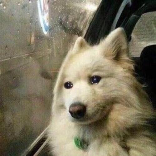 สมาชิกหมายเลข 5695668