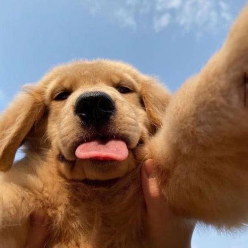 ซู่ซู่ซ่าซ่า
