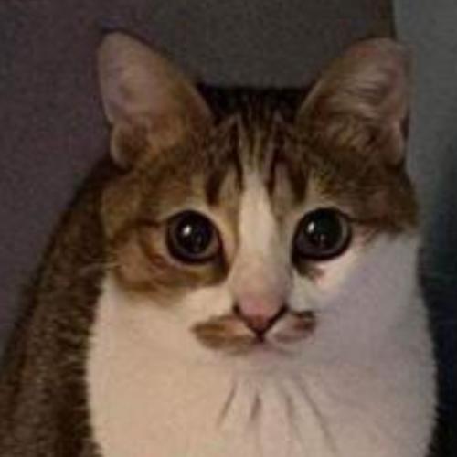 สมาชิกหมายเลข 7988769