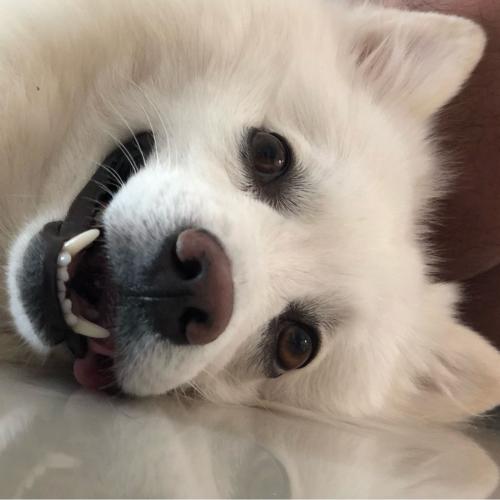 สมาชิกหมายเลข 1866981