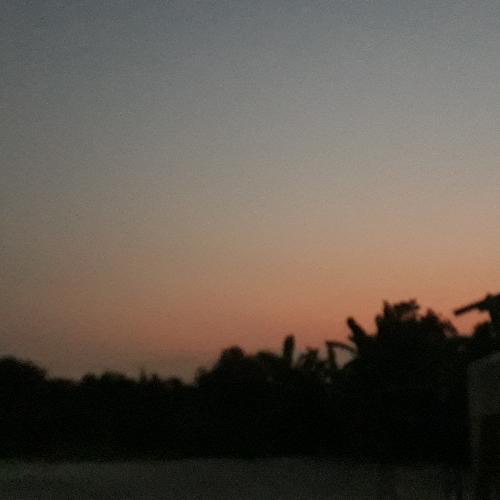 สมาชิกหมายเลข 4433520