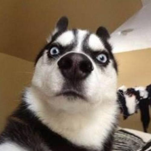 สมาชิกหมายเลข 4864048