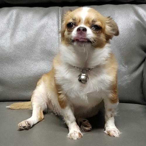 สมาชิกหมายเลข 993558