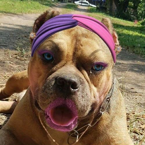 สมาชิกหมายเลข 1278098