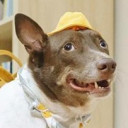 สมาชิกหมายเลข 2497577