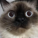 สมาชิกหมายเลข 5252915