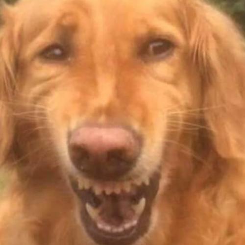 สมาชิกหมายเลข 5607531