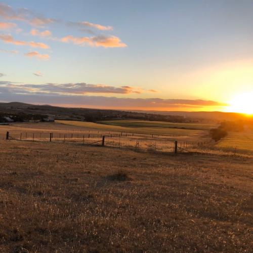 สมาชิกหมายเลข 5687901