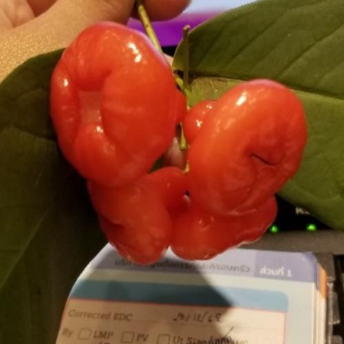 สมาชิกหมายเลข 5687934