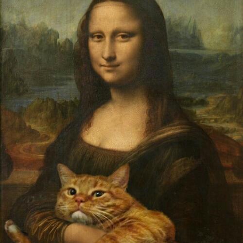 สมาชิกหมายเลข 5357597