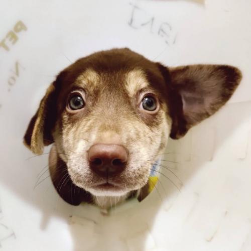 สมาชิกหมายเลข 5649118