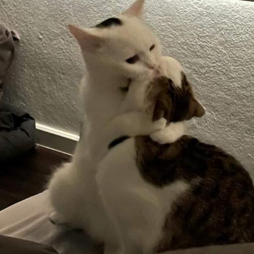 สมาชิกหมายเลข 6499840