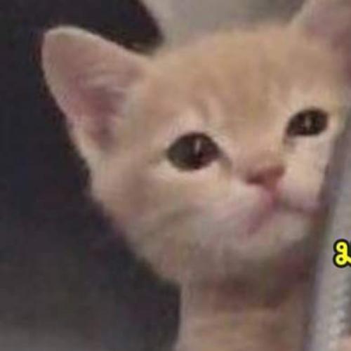 สมาชิกหมายเลข 6930423