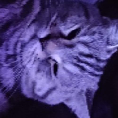 สมาชิกหมายเลข 7689991