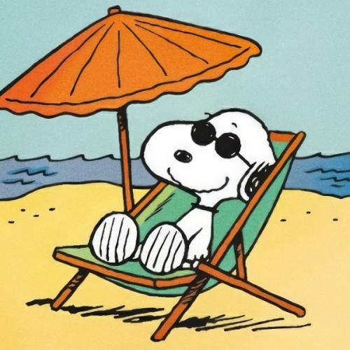 สมาชิกหมายเลข 4701397