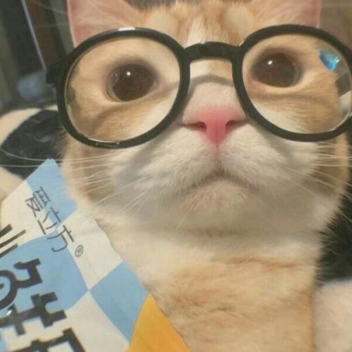 สมาชิกหมายเลข 6818478