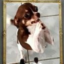 สมาชิกหมายเลข 3842647