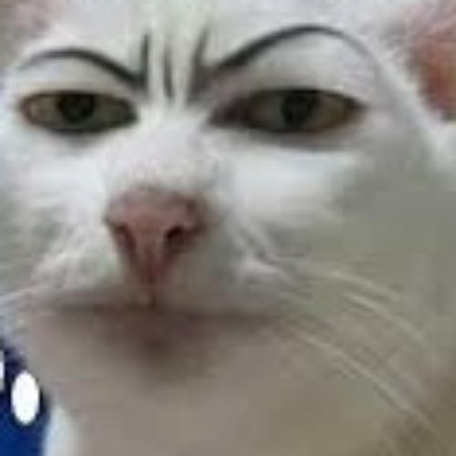 สมาชิกหมายเลข 3723420