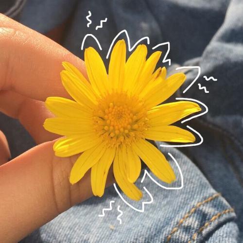 สมาชิกหมายเลข 4864379