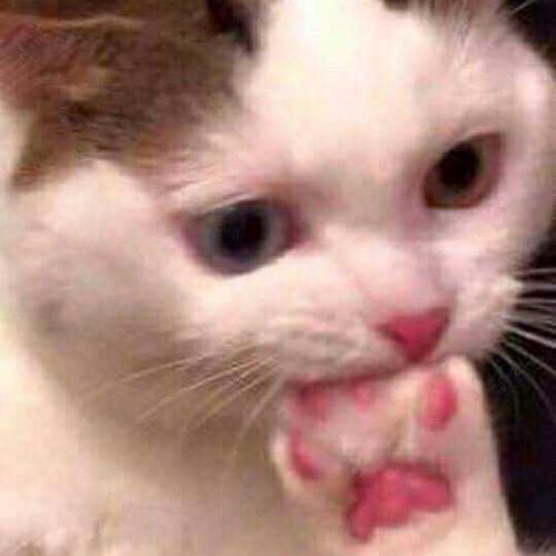 สมาชิกหมายเลข 3810094