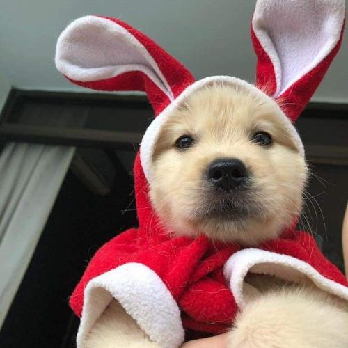 สมาชิกหมายเลข 5688499