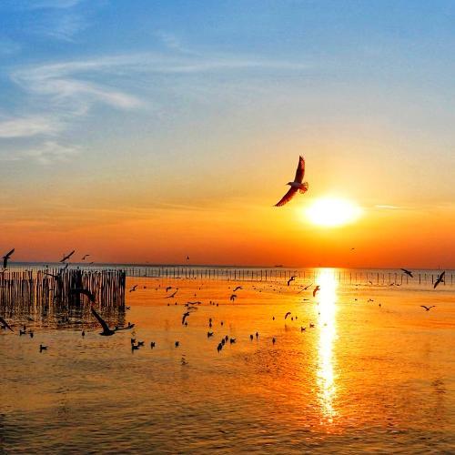 สมาชิกหมายเลข 6002182