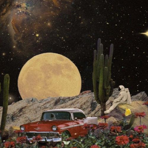 สมาชิกหมายเลข 5480086