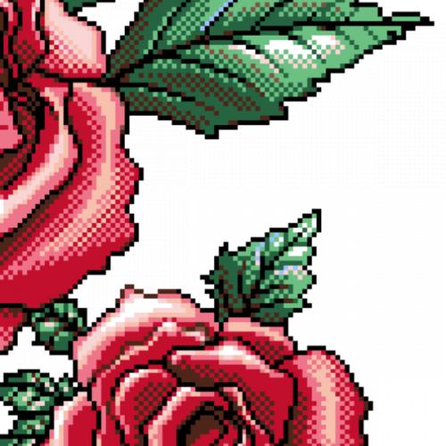 สมาชิกหมายเลข 7695276