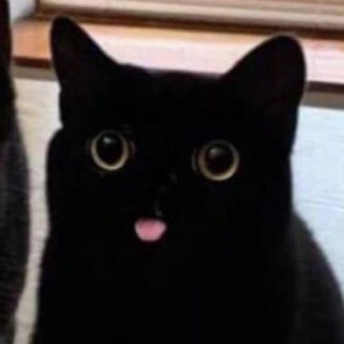 สมาชิกหมายเลข 7695399