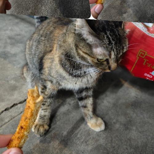 สมาชิกหมายเลข 6708919