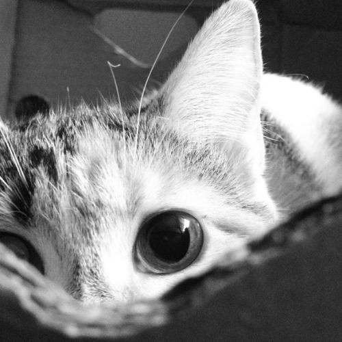 สมาชิกหมายเลข 7735508