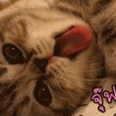 สมาชิกหมายเลข 2913284