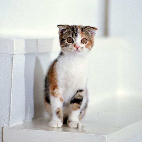 สมาชิกหมายเลข 4524143