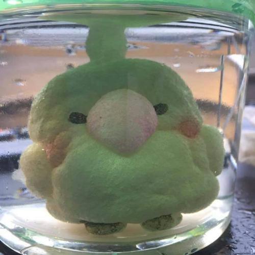 สมาชิกหมายเลข 4525890