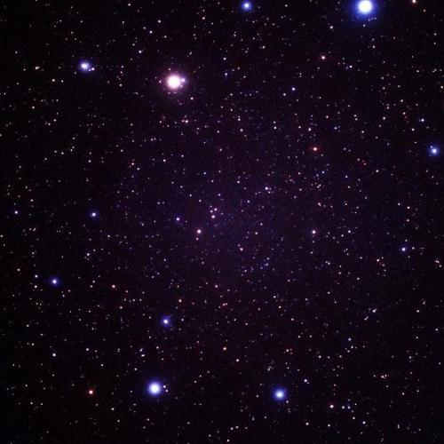 สมาชิกหมายเลข 3850155