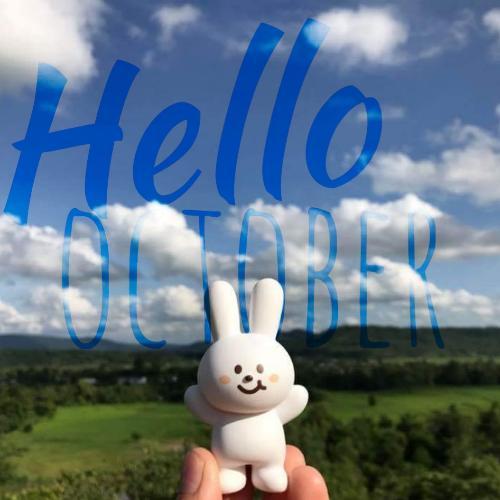 สมาชิกหมายเลข 4566011