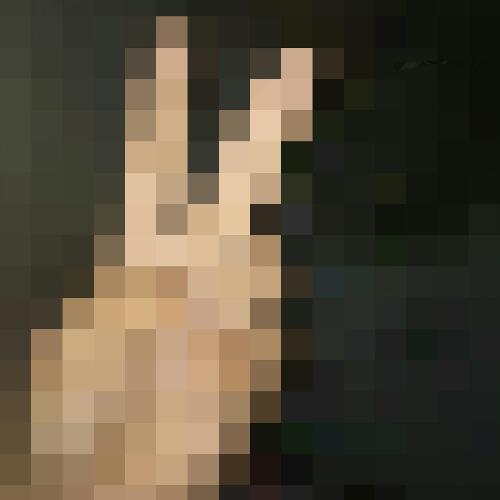 สมาชิกหมายเลข 4855003