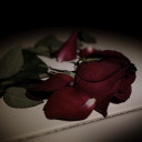 สมาชิกหมายเลข 4864731