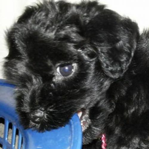 สมาชิกหมายเลข 2991361