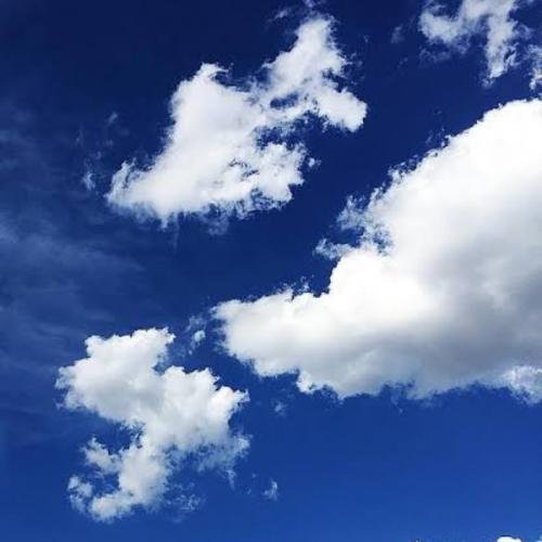 สมาชิกหมายเลข 3945373