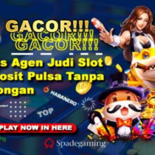 สมาชิกหมายเลข 7696206