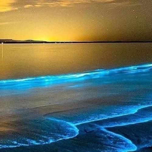 มีสิทธิ์อย่าลืมหน้าที่