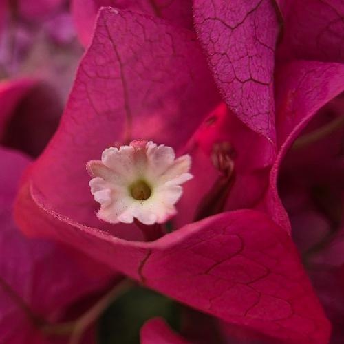 สมาชิกหมายเลข 4375200