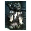 สมาชิกหมายเลข 3624552